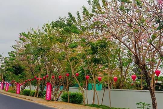 Lovely Room Oceanami Resort Long Hai Luaran gambar